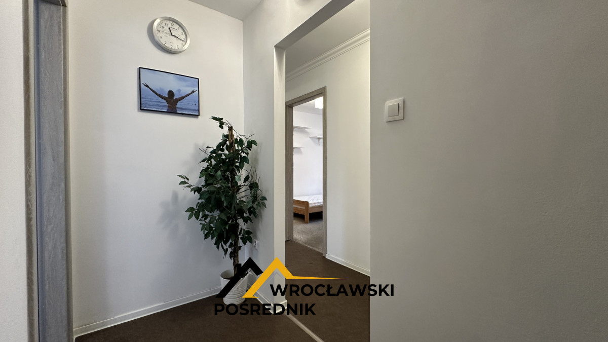 Wynajem mieszkania 3-pokoje w centrum Wrocławiia 894827439