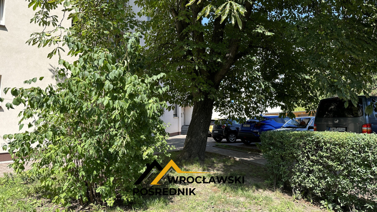 Wynajem mieszkania 3-pokoje w centrum Wrocławiia 894827439